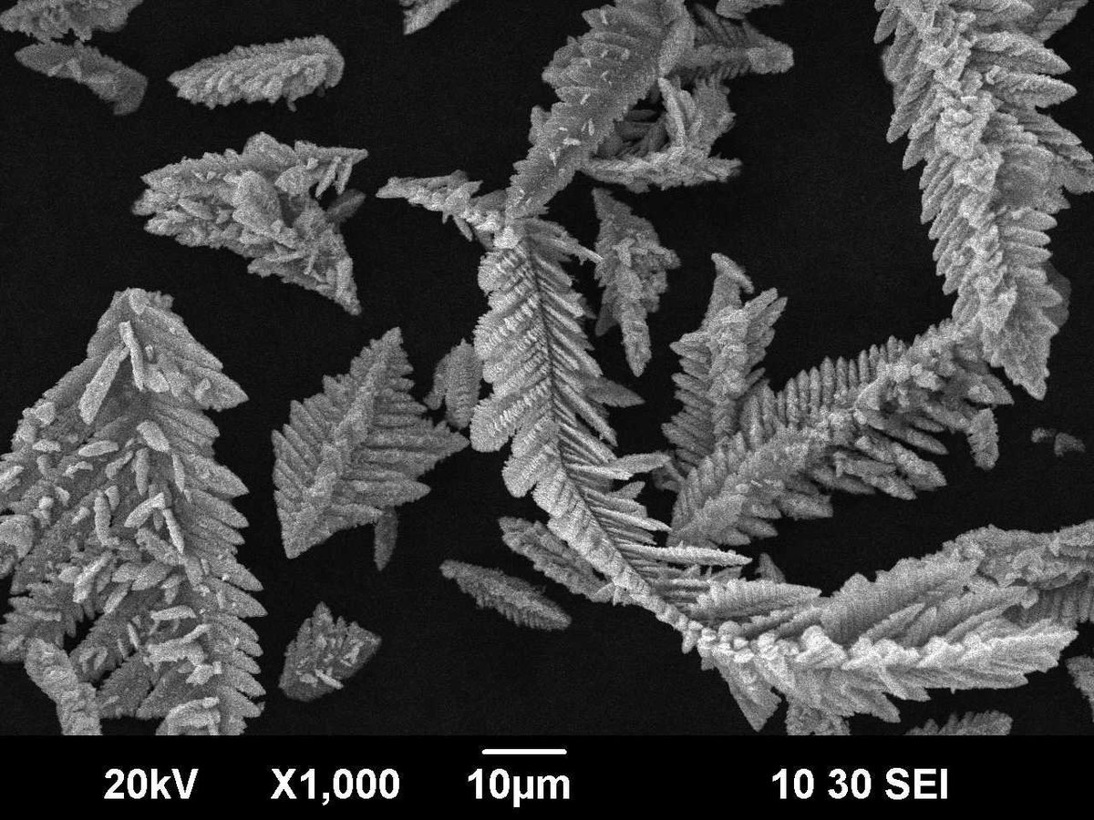 Electron-microscope image of zinc powder particles obtained by electroextraction, shown at one thousand times magnification.